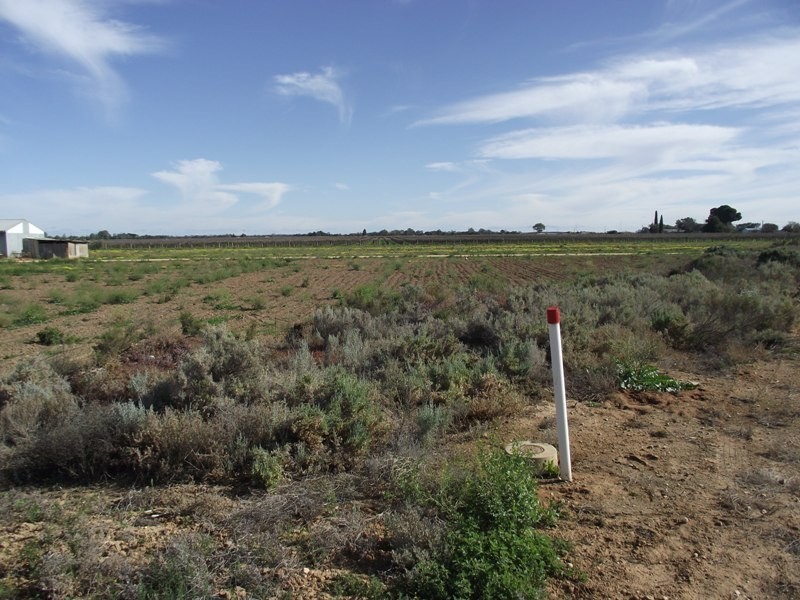 155 English Road, Barmera SA 5345