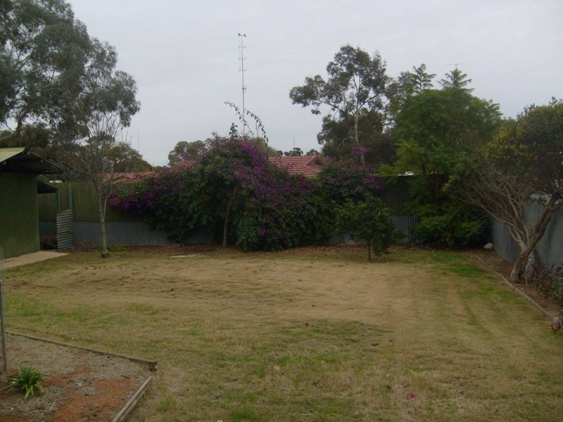 5 Hall Crescent, Waikerie SA 5330