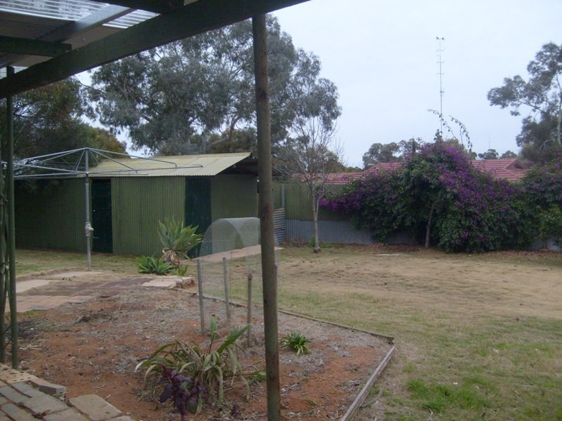 5 Hall Crescent, Waikerie SA 5330