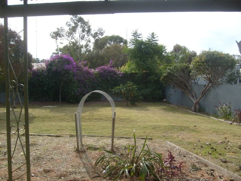 5 Hall Crescent, Waikerie SA 5330