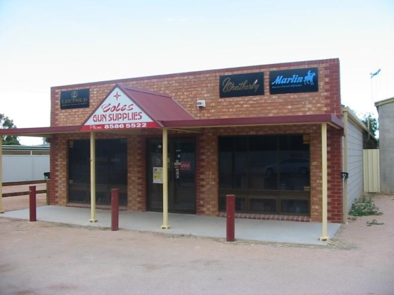 91 Fifteenth Street, Renmark SA 5341
