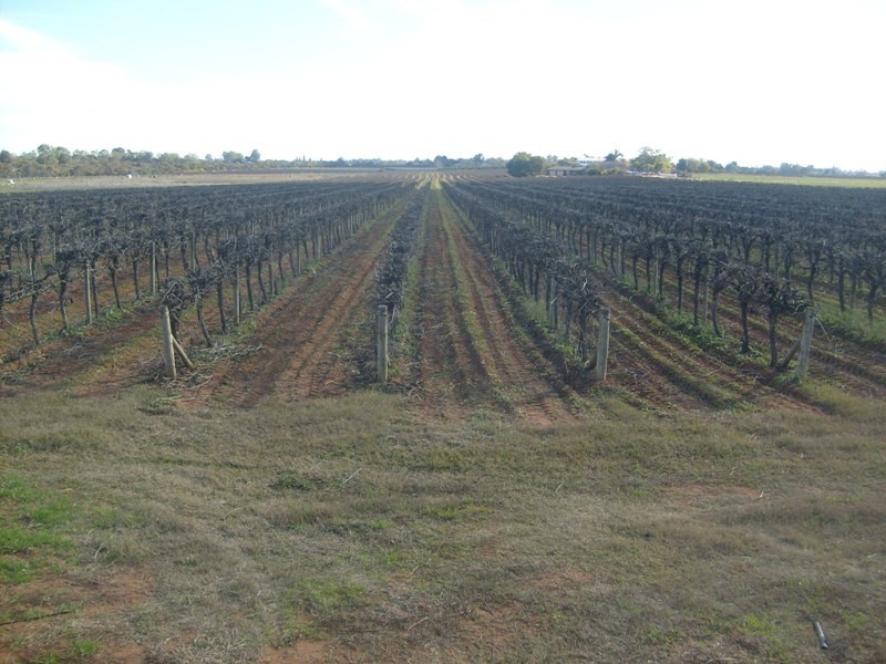 52 Bottom Road, Barmera SA 5345