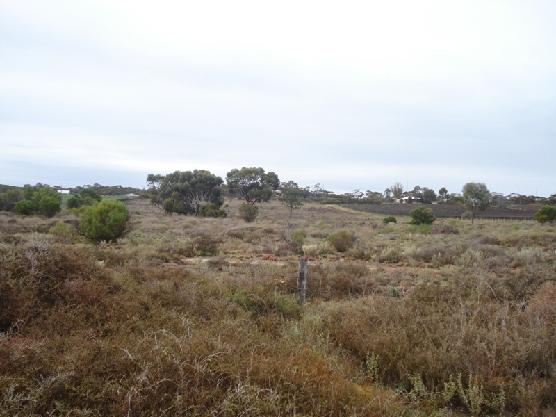 Allotment 3 Smyth Rd, Cadell SA 5321