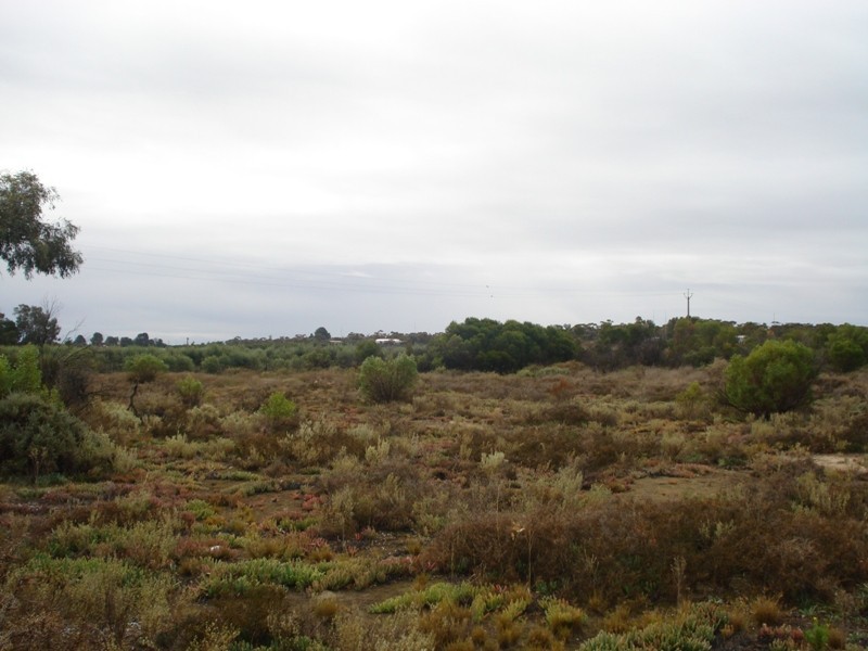 Allotment 3 Smyth Rd, Cadell SA 5321