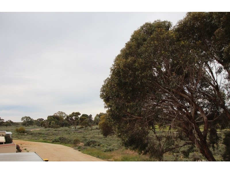 9 Cocksedge Road, Barmera SA 5345