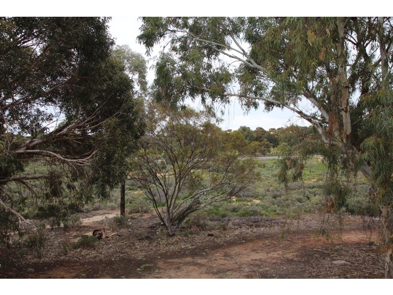 9 Cocksedge Road, Barmera SA 5345