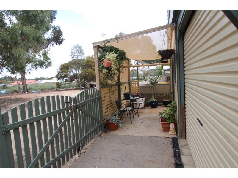 9 Cocksedge Road, Barmera SA 5345