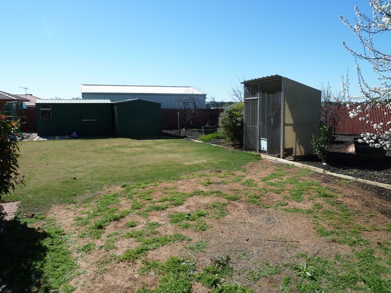 21 Klingberg Street, Loxton SA 5333