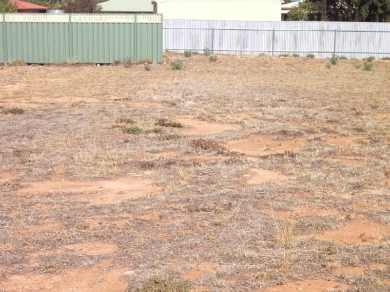 118 Milich Court, Loxton SA 5333