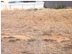 118 Milich Court, Loxton SA 5333