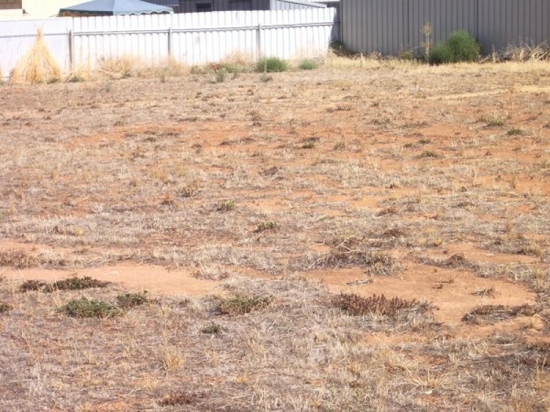 118 Milich Court, Loxton SA 5333