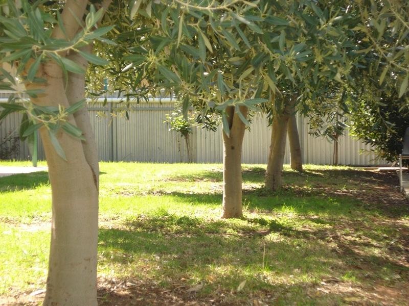 4 Gouge Street, Morgan SA 5320