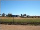 6 Reinecke Street, Morgan SA 5320