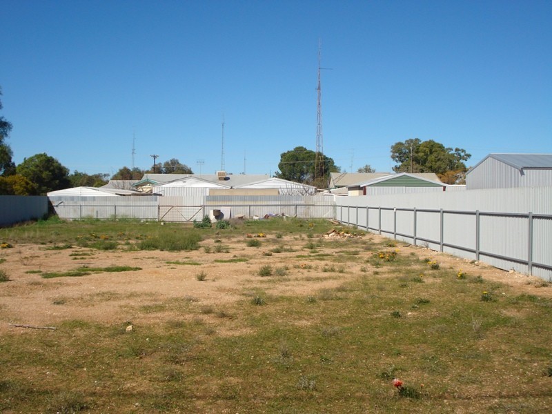 6 Reinecke Street, Morgan SA 5320