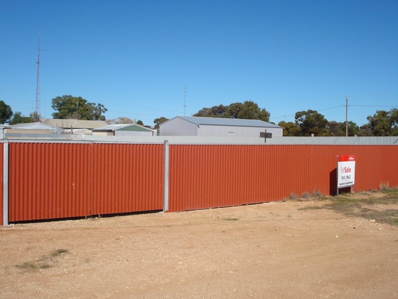 6 Reinecke Street, Morgan SA 5320