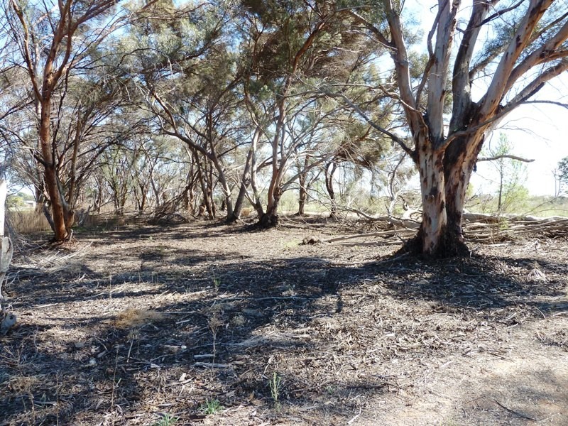 34 Kenna Road, Loxton SA 5333