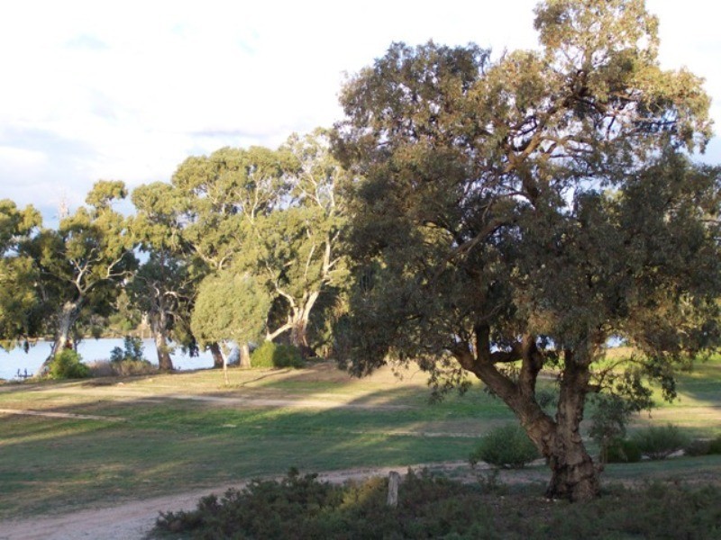 15 Langs Landing, Swan Reach SA 5354