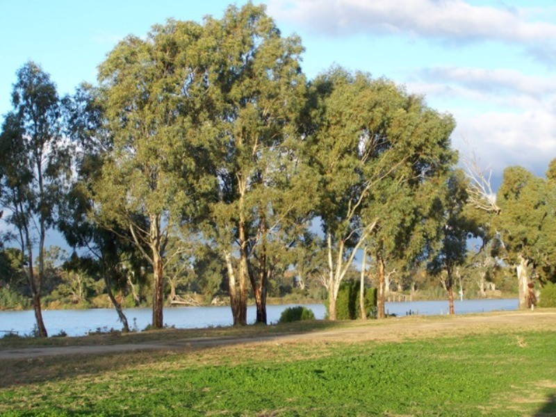 15 Langs Landing, Swan Reach SA 5354