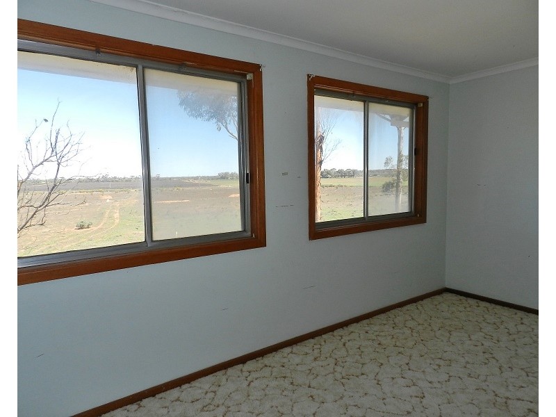 121 Hoffmann Road, Loveday SA 5345