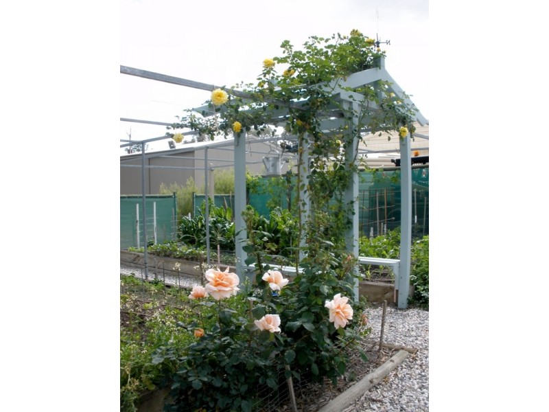 36 Pelican Point, Morgan SA 5320