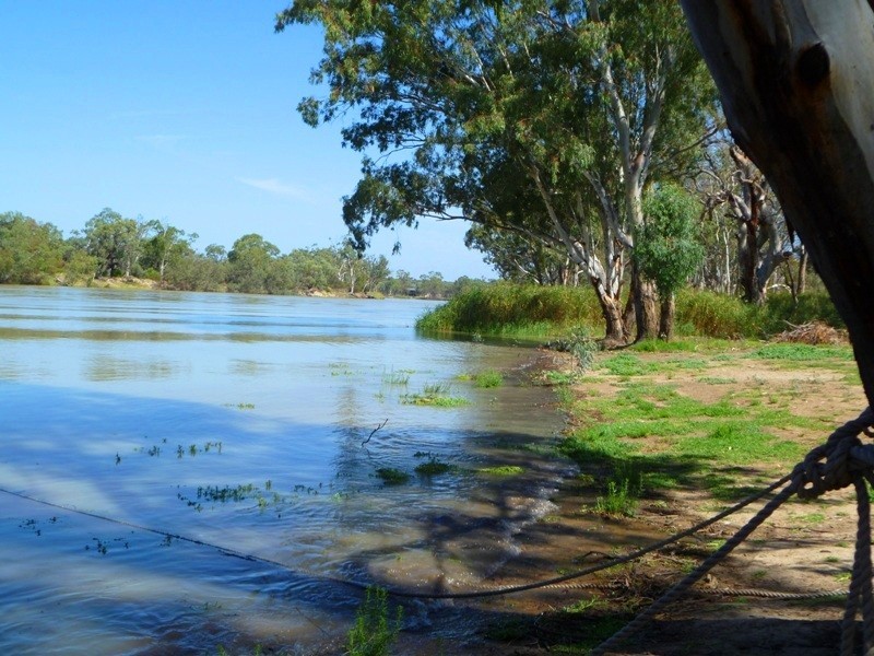 114 Morphetts Flat Road, Morgan SA 5320