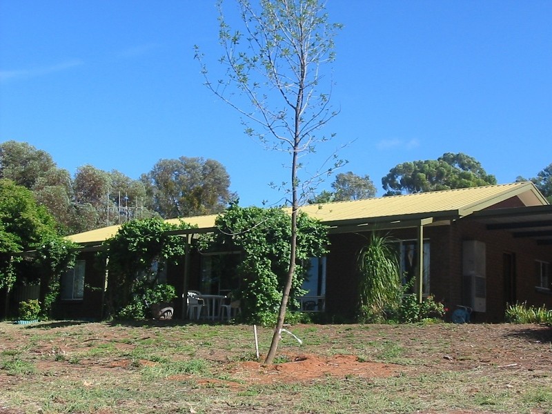 13 Michelle Drive, Paringa SA 5340