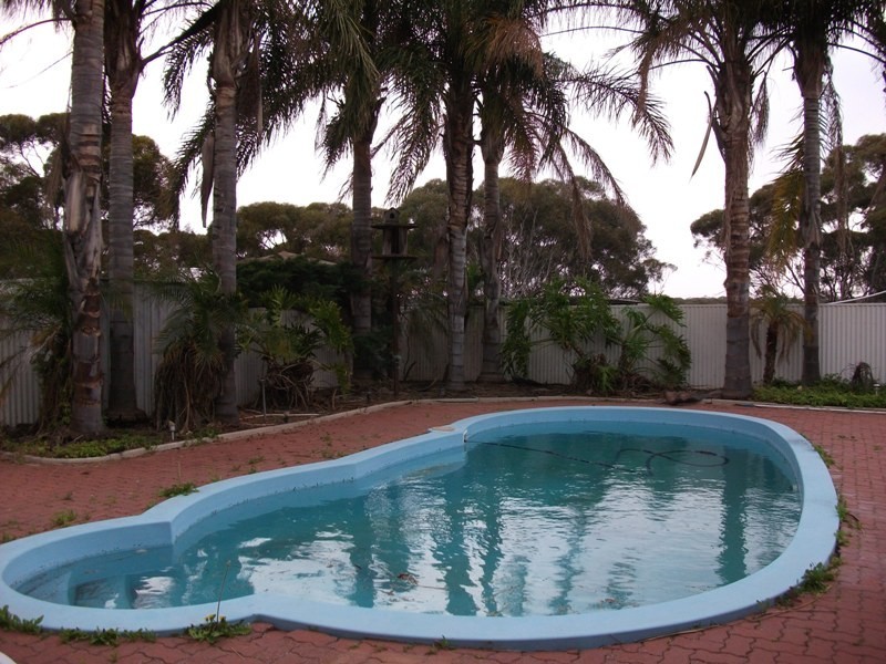 62 Bigg Road, Monash SA 5342