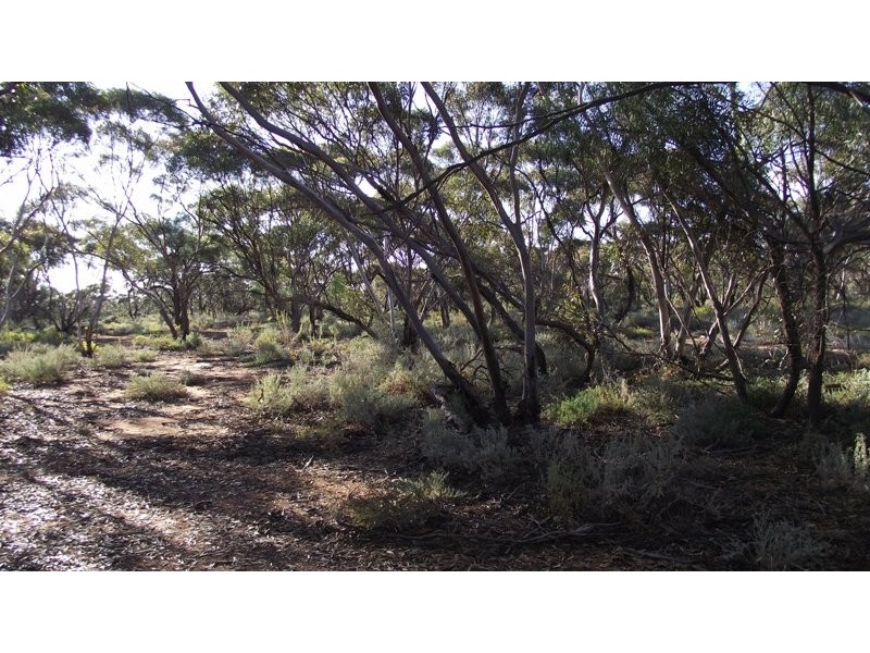 62 Bigg Road, Monash SA 5342