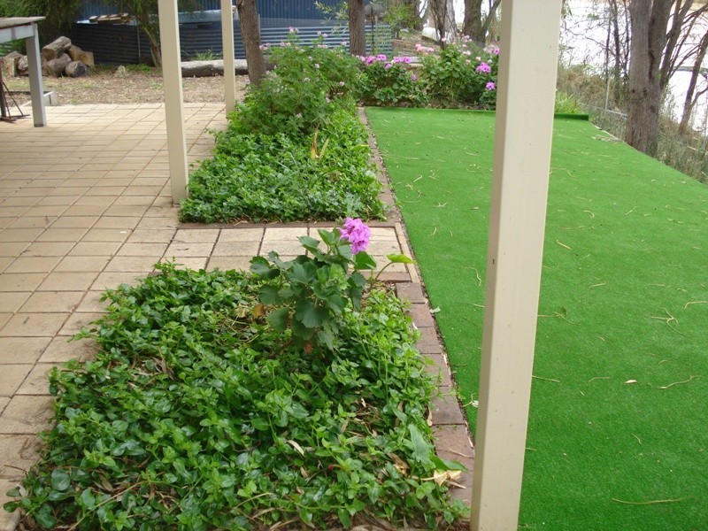 106 Brenda Park, Morgan SA 5320