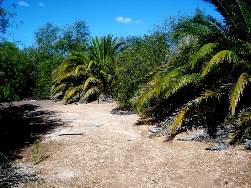 Lot 11 Ramco Road, Waikerie SA 5330