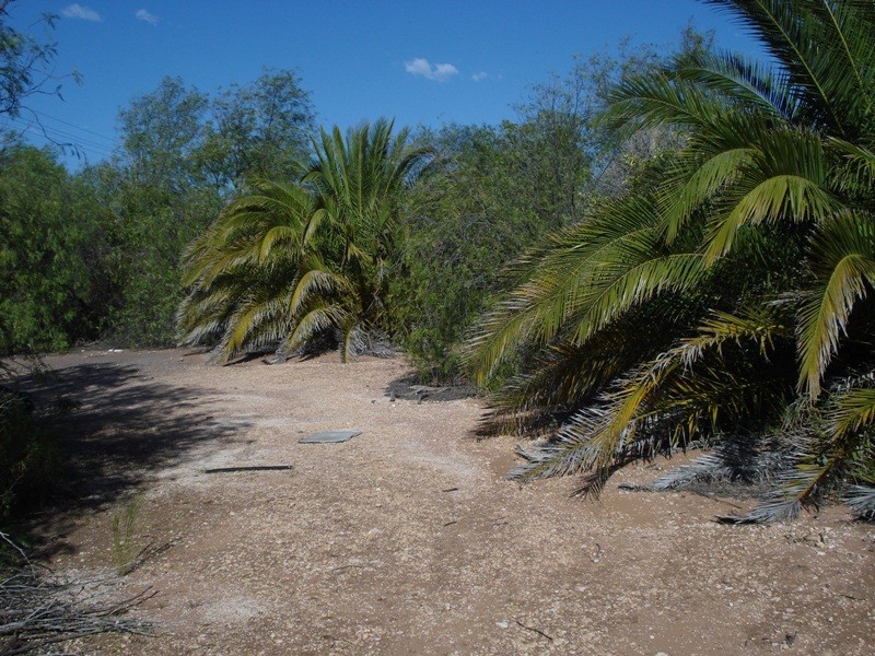 Lot 11 Ramco Road, Waikerie SA 5330