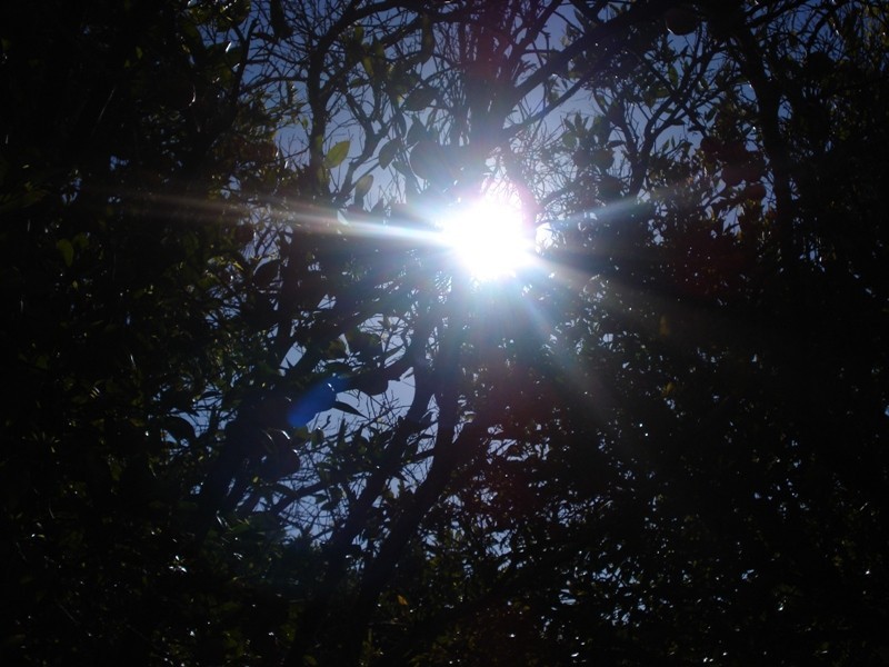 LOT 222 Playford Road, Waikerie SA 5330