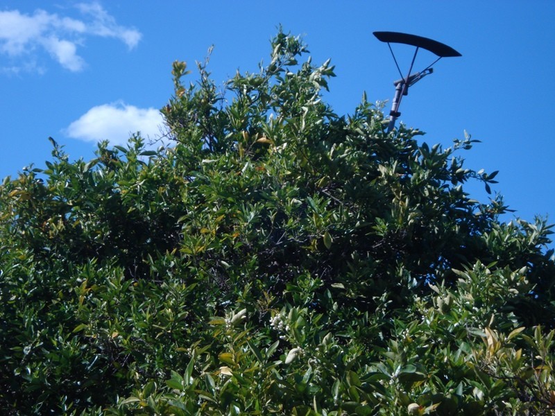 LOT 222 Playford Road, Waikerie SA 5330