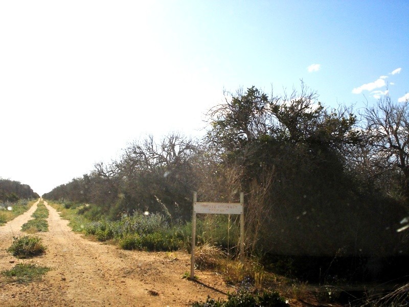 Lot 8  Ramco Road, Waikerie SA 5330