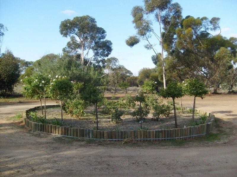 314 Old Sturt Highway, Glossop SA 5344