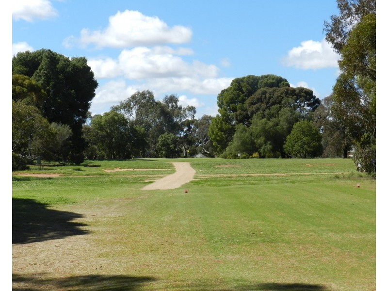 Lot 2 Scott Avenue, Barmera SA 5345