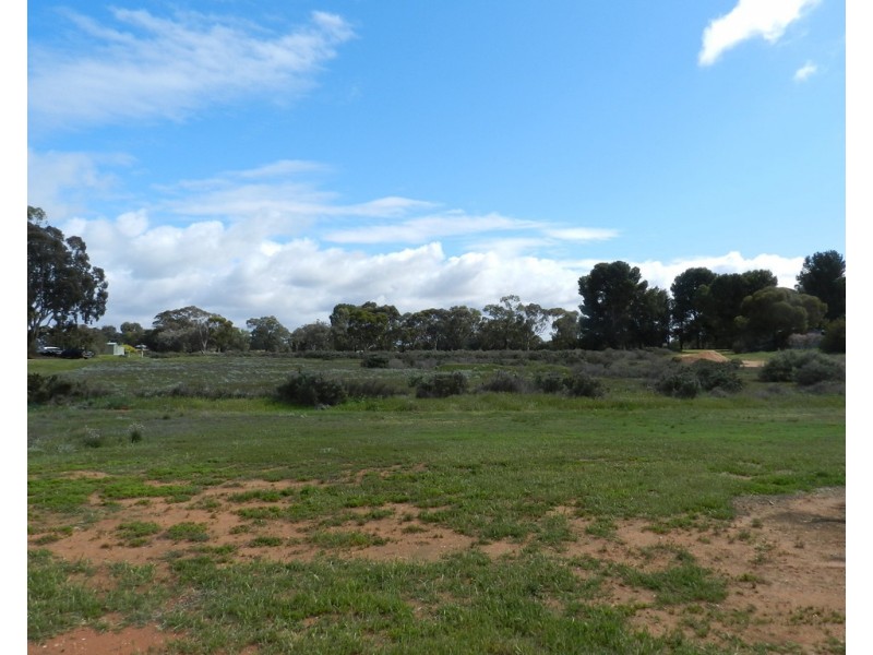 Lot 2 Scott Avenue, Barmera SA 5345