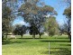 Lot 2 Scott Avenue, Barmera SA 5345