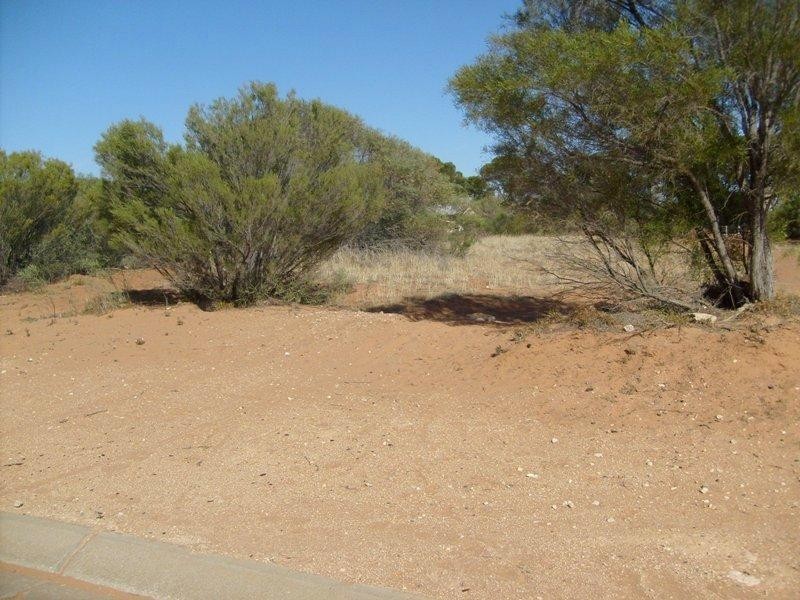 Lots 31 ,33,35,37 McGregor Street, Berri SA 5343