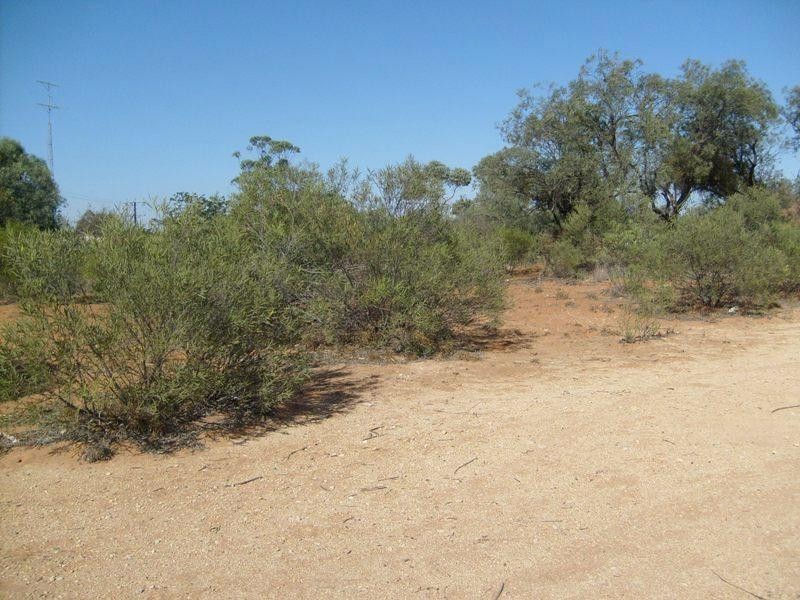 Lots 31 ,33,35,37 McGregor Street, Berri SA 5343