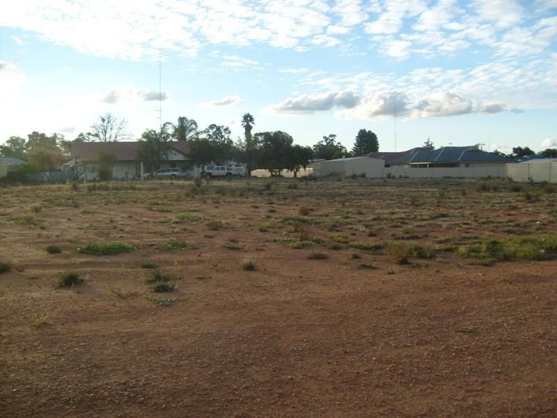 35 Brooke Street, Barmera SA 5345