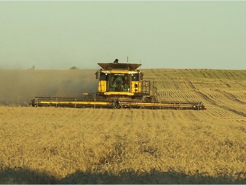 Section 18 Hd of Holder, Waikerie SA 5330