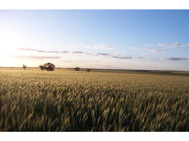 Section 18 Hd of Holder, Waikerie SA 5330