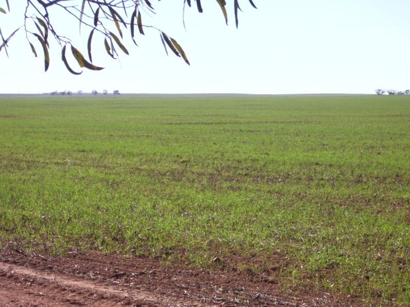 Section 18 Hd of Holder, Waikerie SA 5330