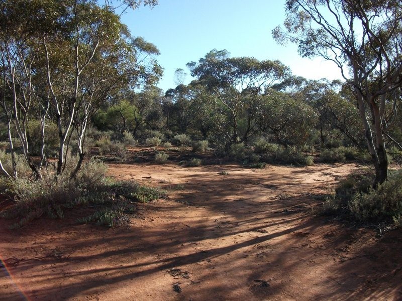 Section 544 O’Callaghan Road, Monash SA 5342