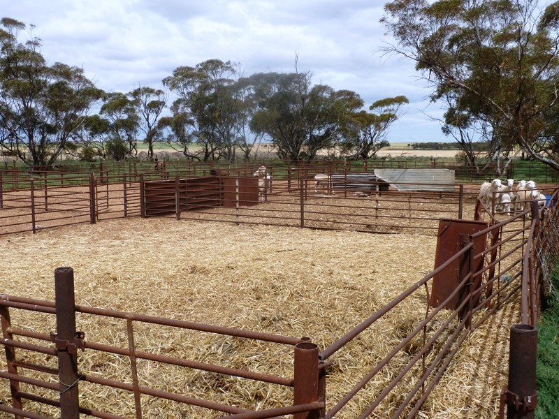 1, 71, 100, 101, 266 and 267 Hundred of Gordon, Bugle Hut SA 5311