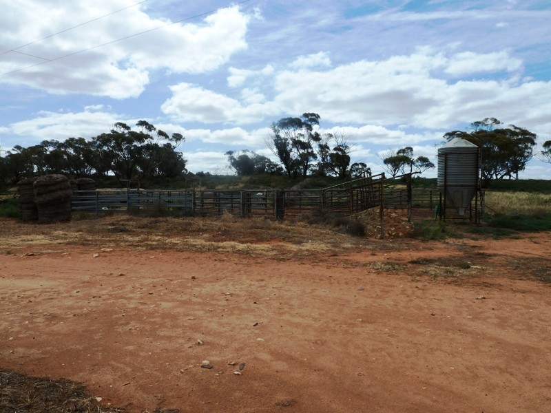 1, 71, 100, 101, 266 and 267 Hundred of Gordon, Bugle Hut SA 5311