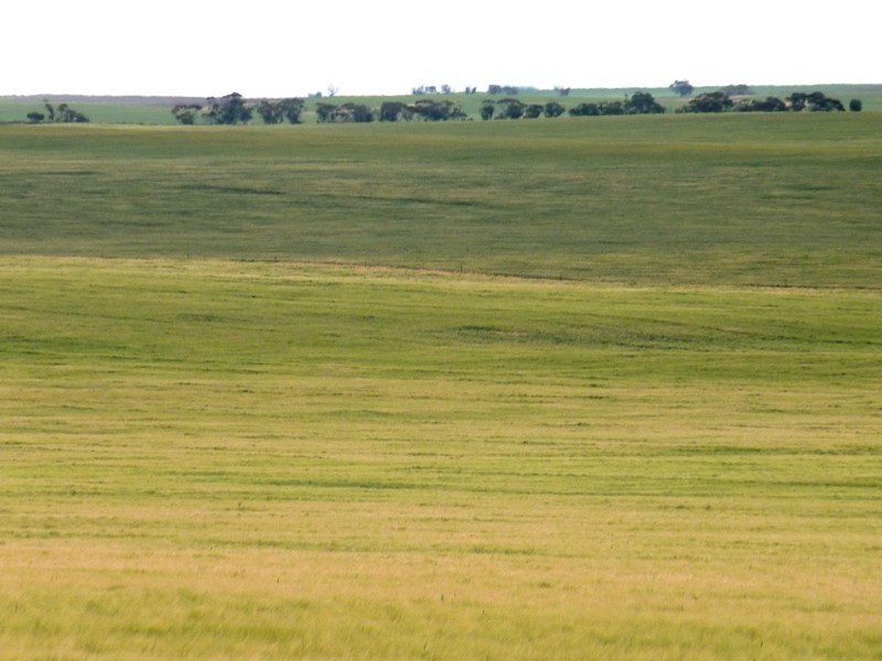 1, 71, 100, 101, 266 and 267 Hundred of Gordon, Bugle Hut SA 5311