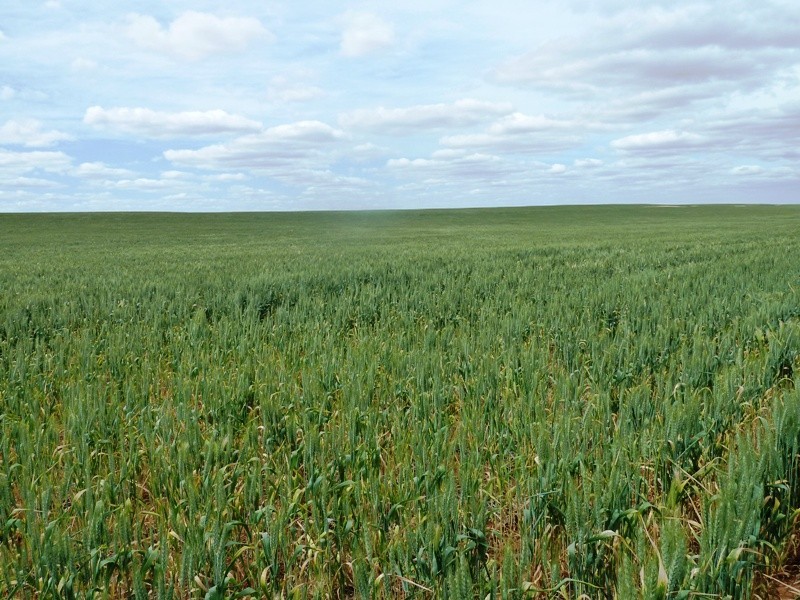 1, 71, 100, 101, 266 and 267 Hundred of Gordon, Bugle Hut SA 5311