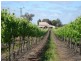 78 Benlow Road, Waikerie SA 5330